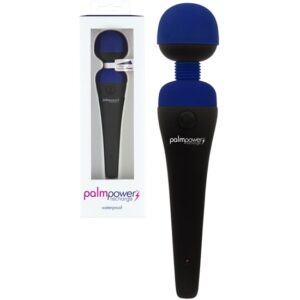 PalmPower Rechargeable Massager